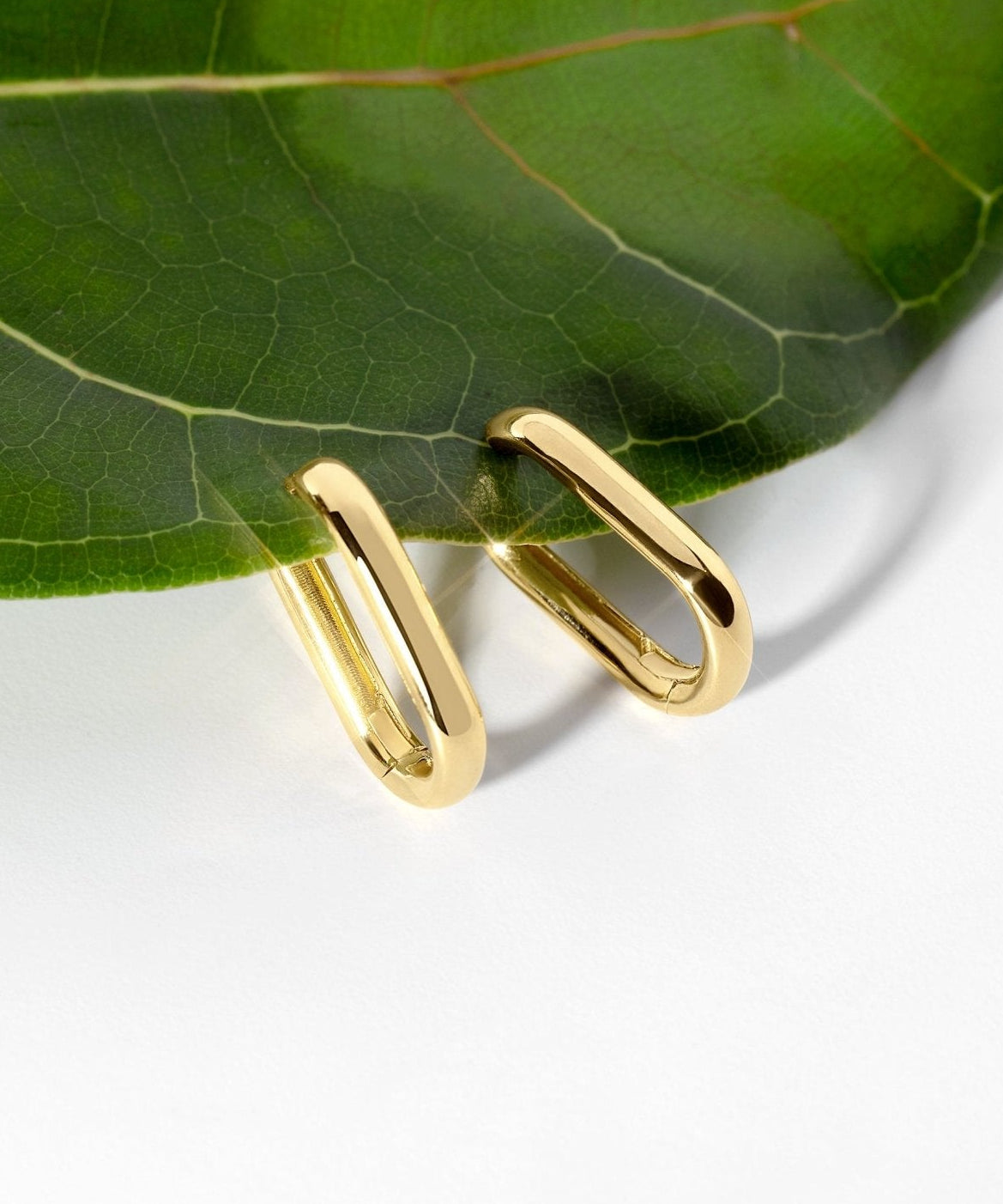 Paperclip Hoops Yellow Gold - PBD Earrings