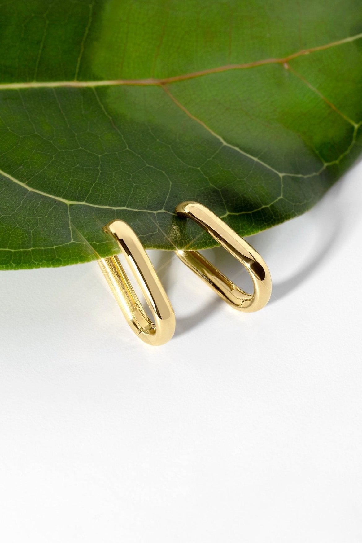 Paperclip Hoops Yellow Gold - PBD Earrings