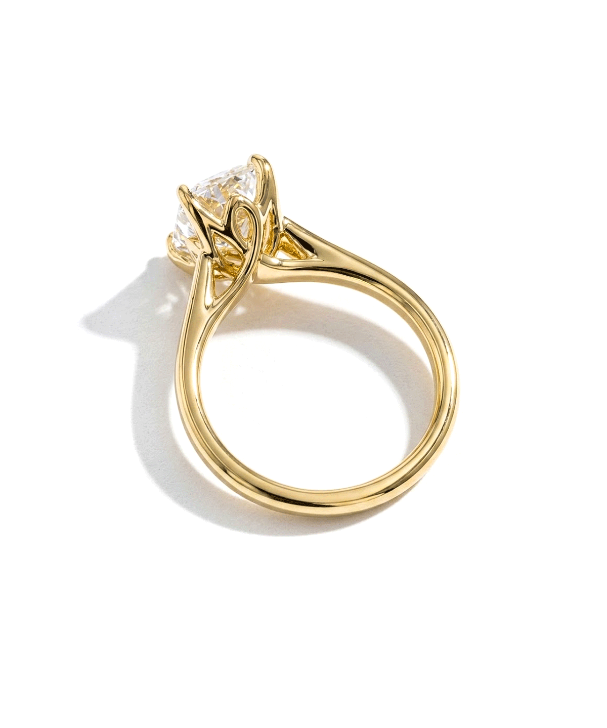 petal-prong-lucida-2.gif