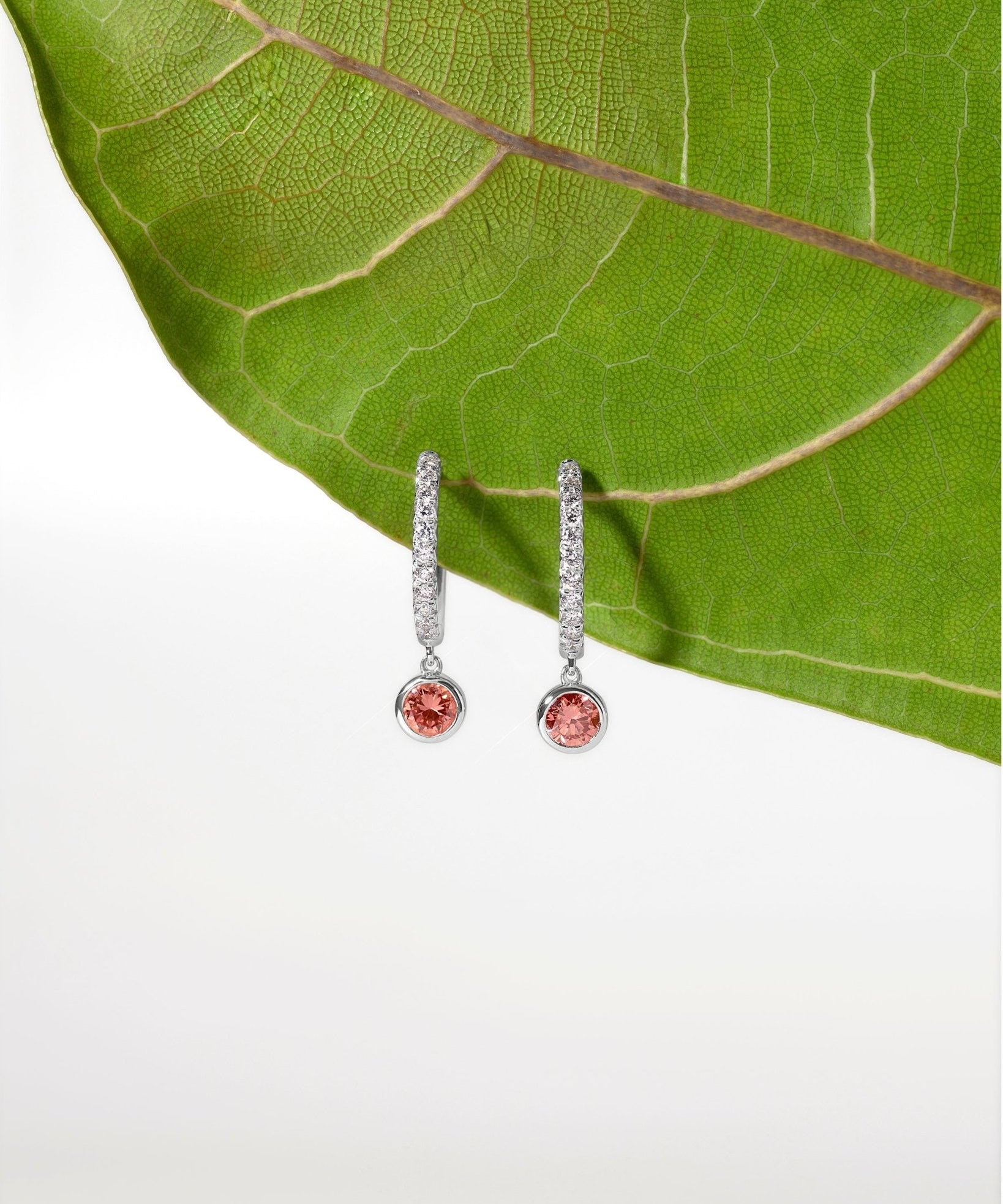 Pink Lab Diamond Dangle Hoops - PBD Earrings