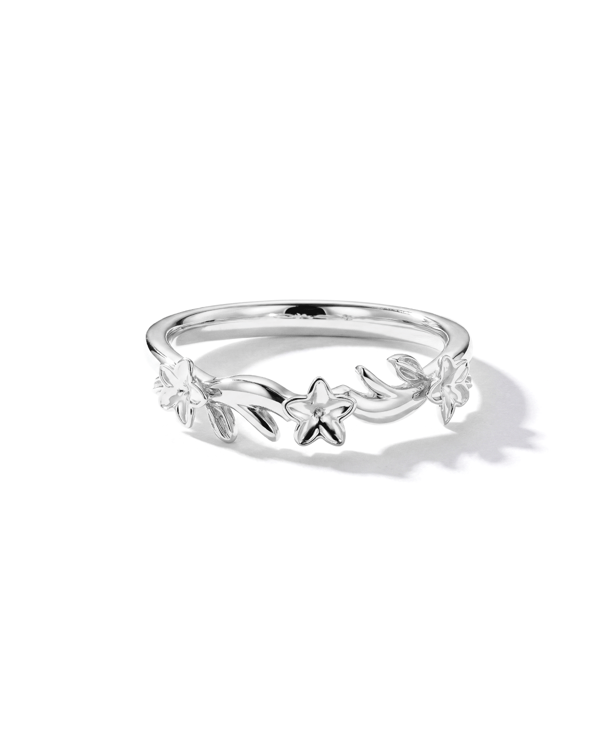 plumeris-band-white.gif