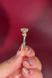 Round Diamond Engagement Ring with Nature Inspired Marquise side diamonds and petal prongs