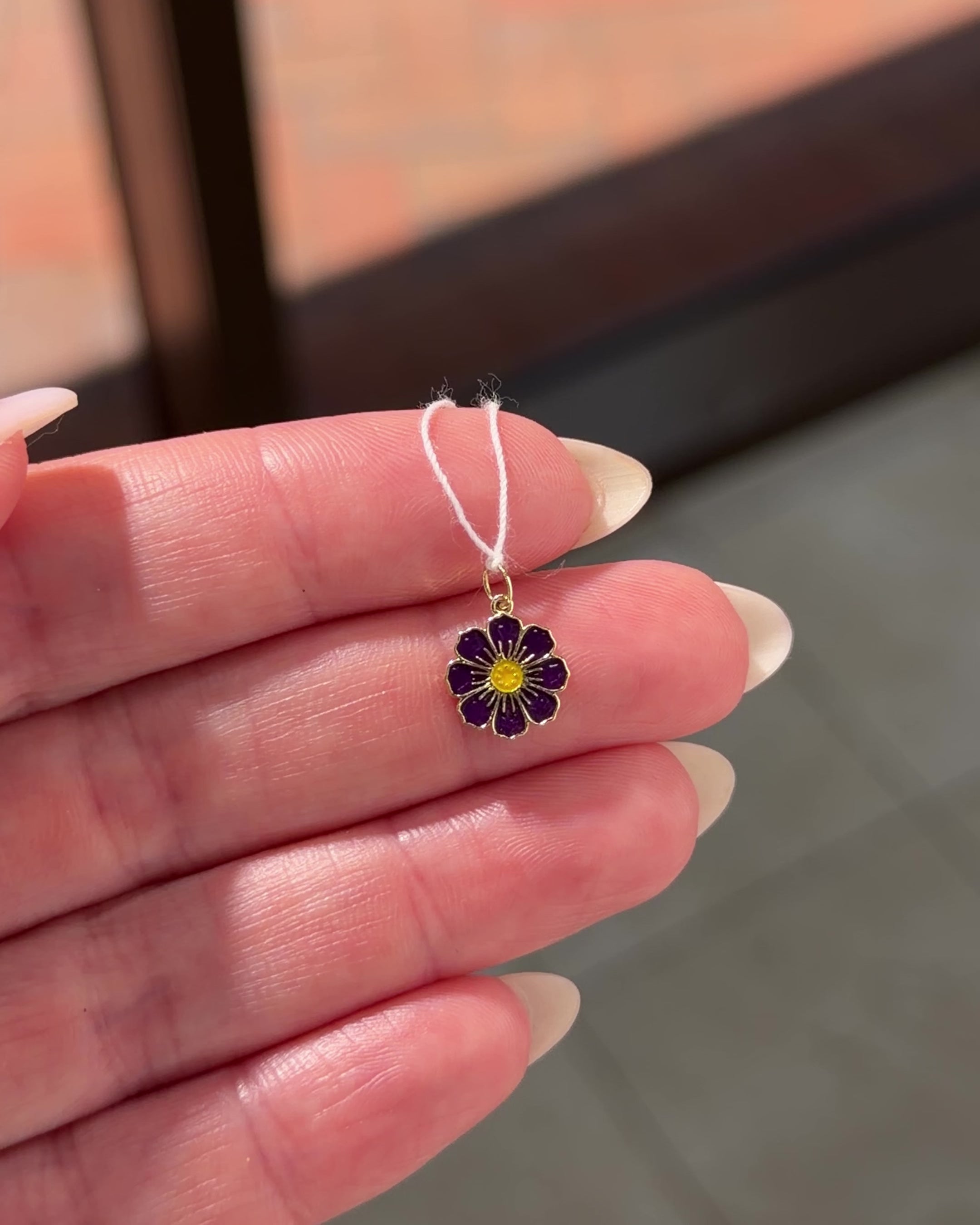 Cosmos Charm