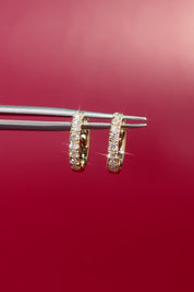 13x2mm Core Pavé Hoop 14k Yellow