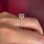 Round Pavé Diamond Solitaire cathedral Setting in Yellow Gold