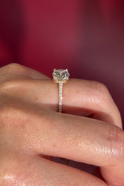 Round Pavé Diamond Solitaire cathedral Setting in Yellow Gold