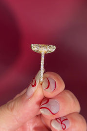 Marquise Solitaire Engagement Ring with Pave Diamond Band in Yellow Gold Cathedral Style with hidden halo