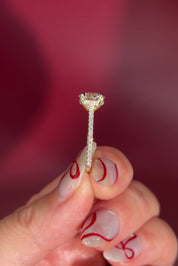 Round Pavé Diamond Solitaire cathedral Setting in Yellow Gold