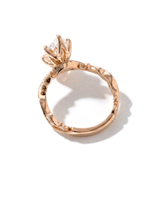 Rosette Marquise
