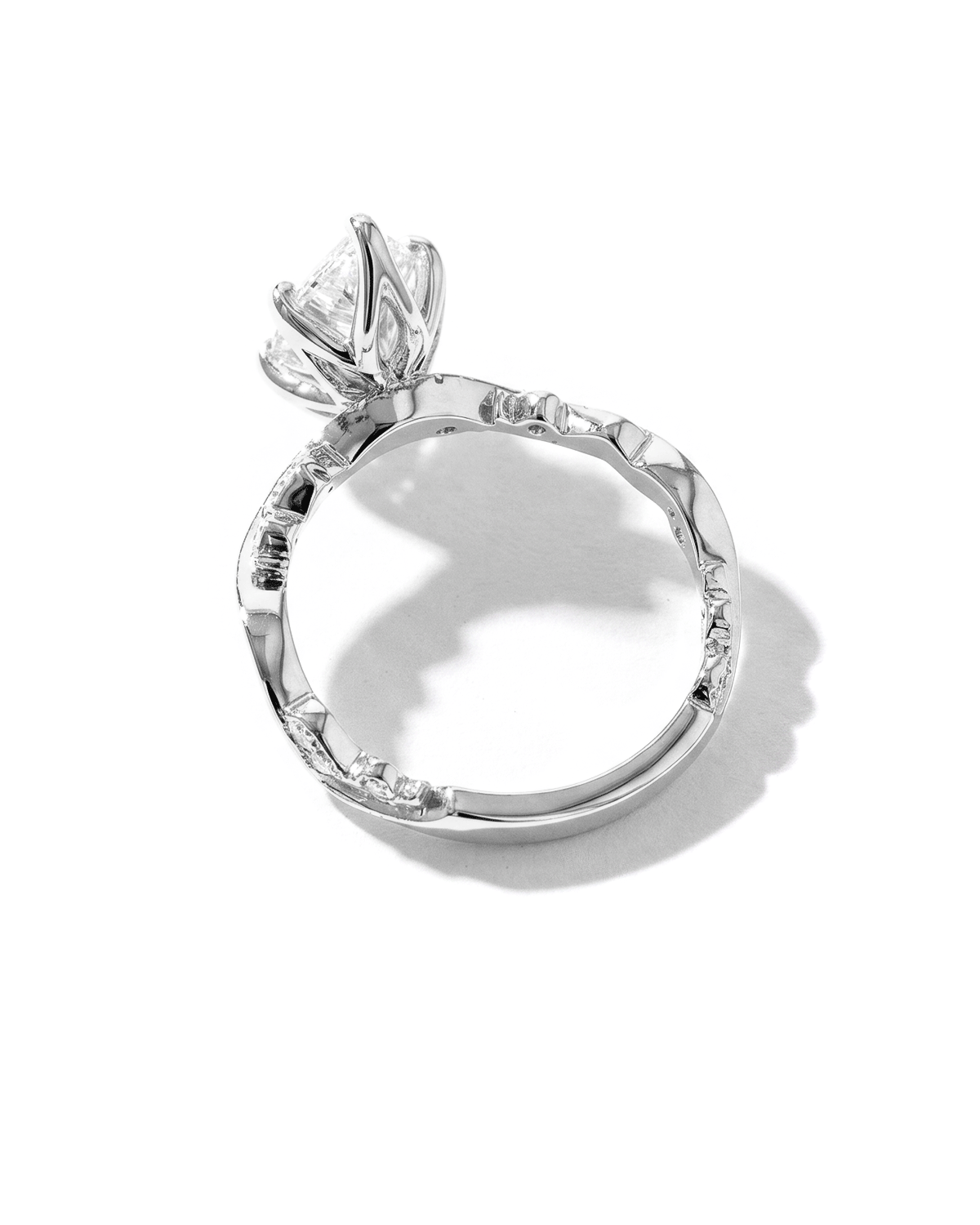 Rosette Marquise