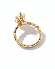 Rosette Marquise