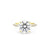 Stella Round Engagement Rings Princess Bride Diamonds 