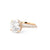 Stella Round Engagement Rings Princess Bride Diamonds 