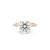 Stella Round Engagement Rings Princess Bride Diamonds 