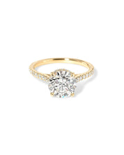 Stella Round - PBD Engagement Rings