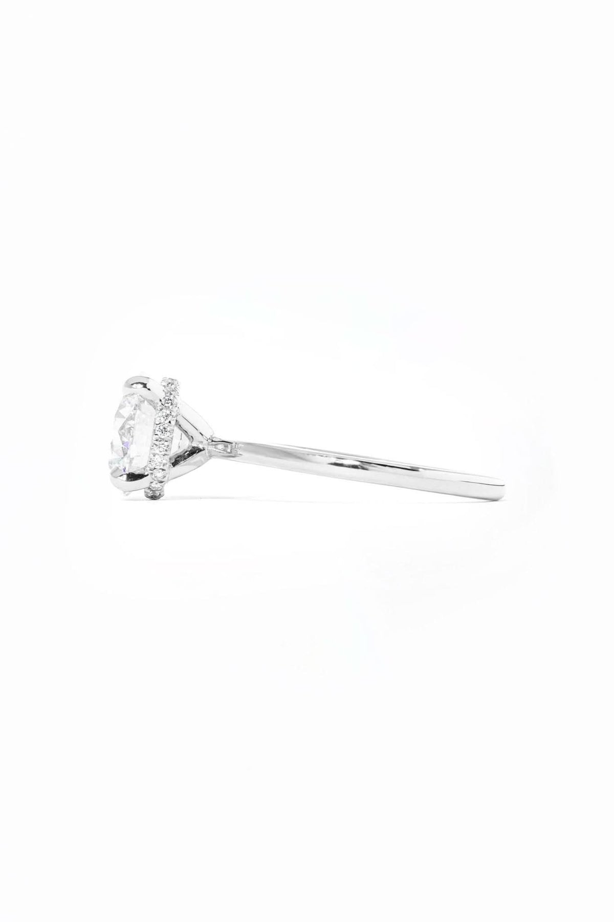 Stephanie Round High Polish - PBD Engagement Rings