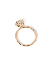 Stephanie Round - PBD Engagement Rings