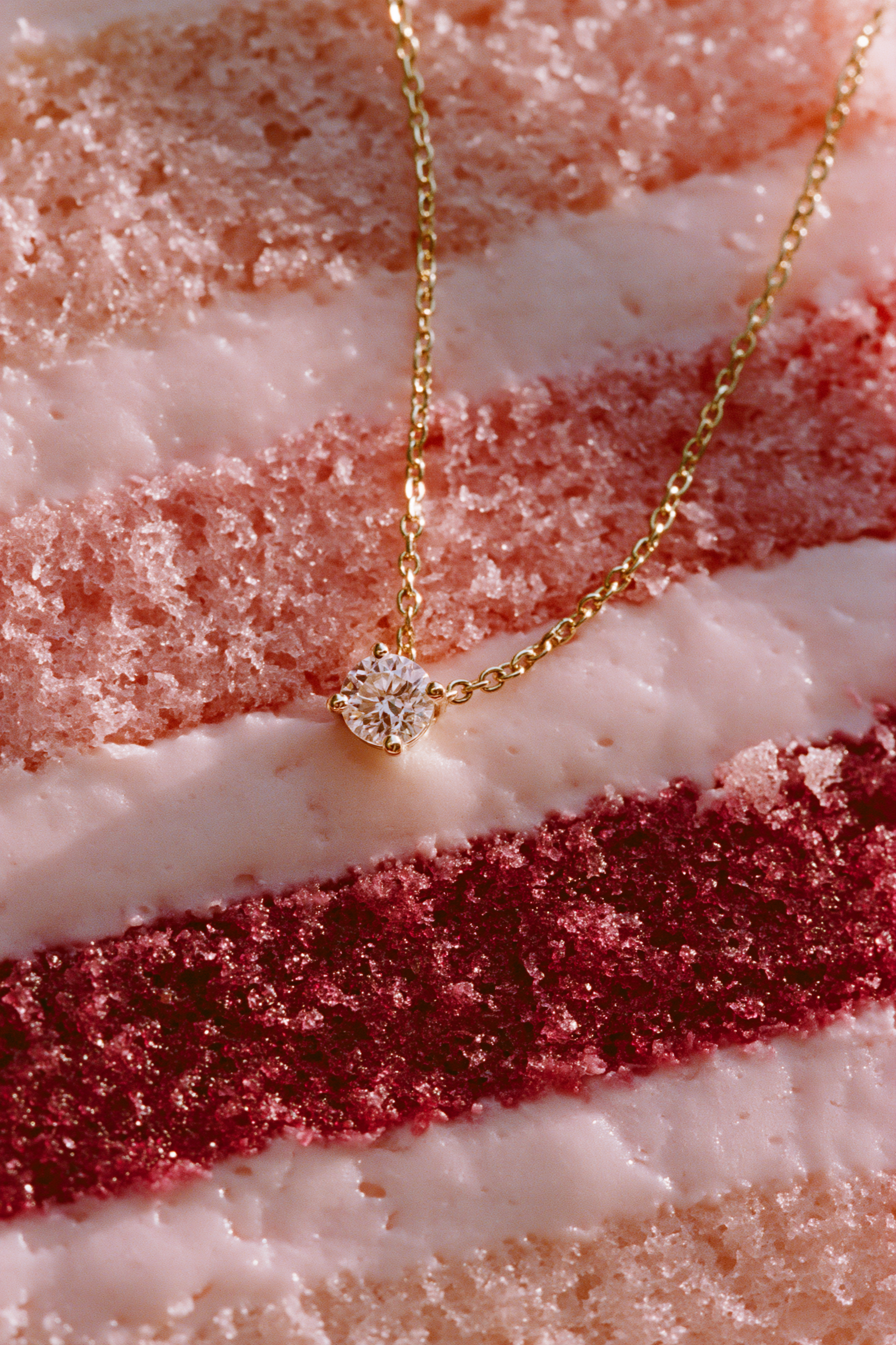 u7957282467_Extreme_close_up_top_down_photograph_of_a_layered_c13af477-7ca6-4b9e-a32a-637741271f51_3.png