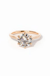 Victoria Round High Polish - PBD Engagement Rings