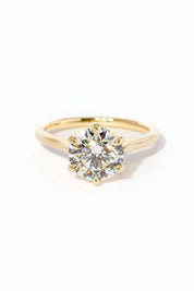 Victoria Round High Polish - PBD Engagement Rings