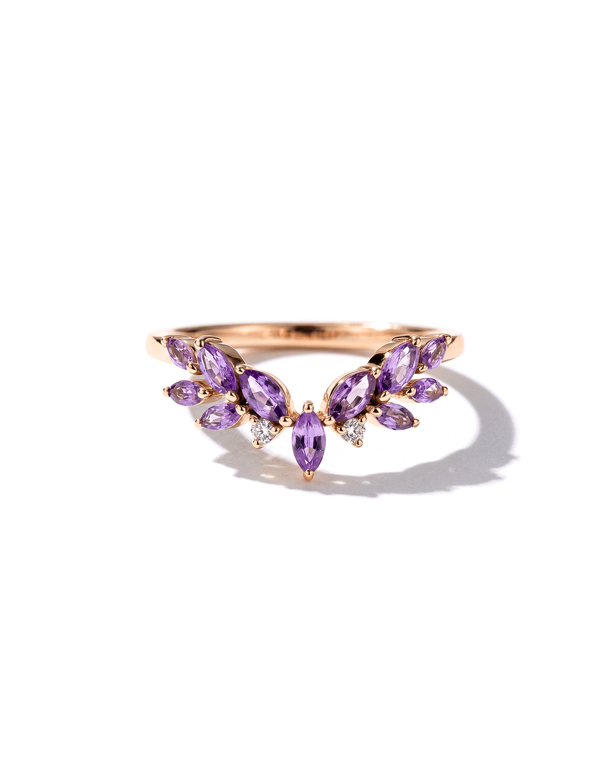 Wisteria Band
