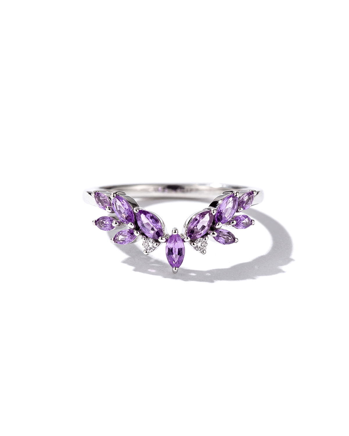 Wisteria Band