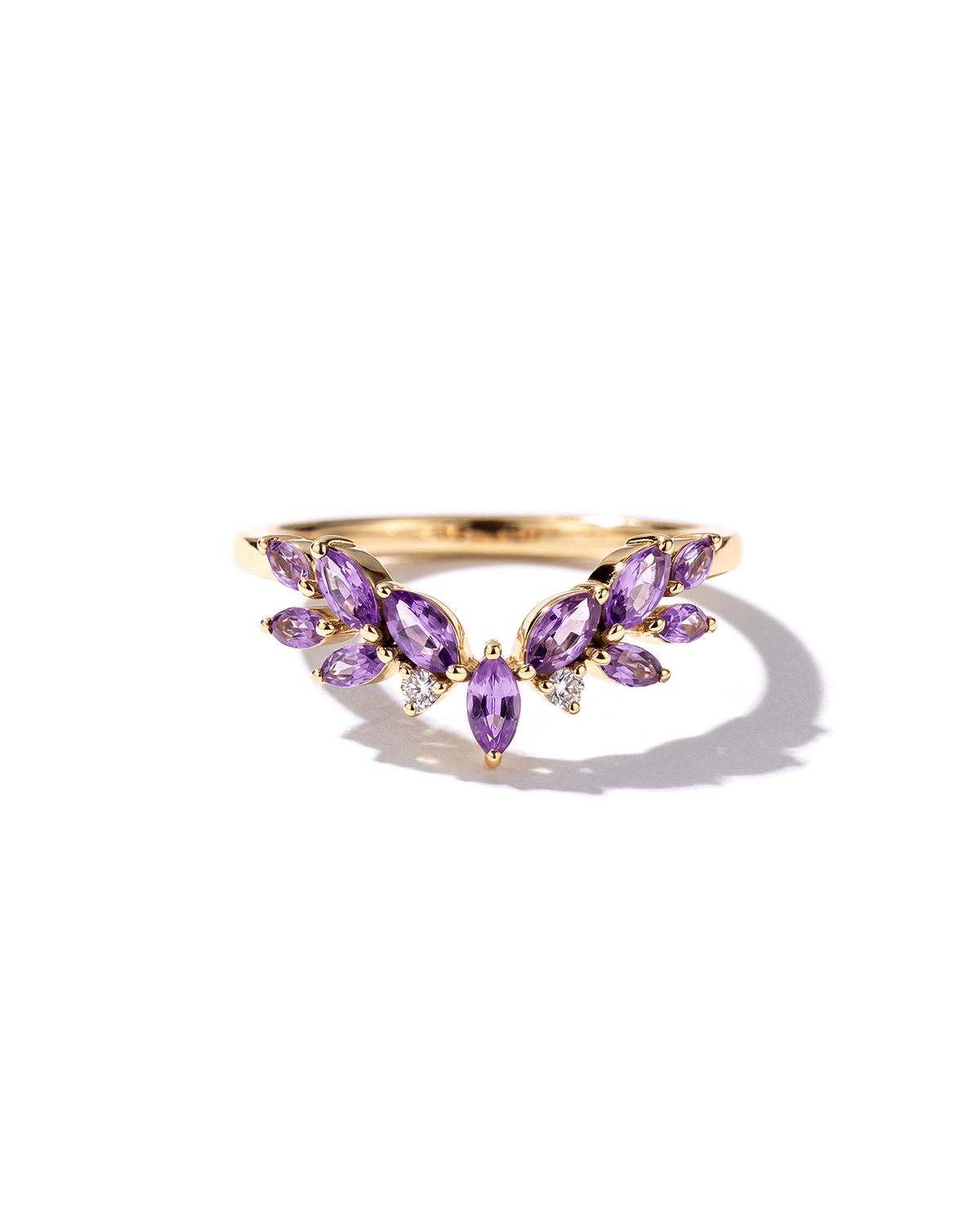 Wisteria Band