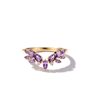 Wisteria Band