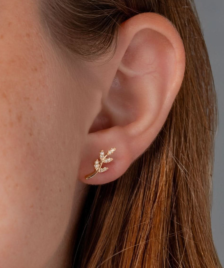 Yellow Gold Branch Studs - PBD Earrings