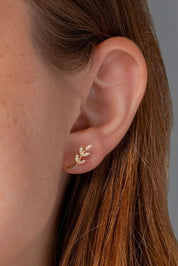 Yellow Gold Branch Studs - PBD Earrings