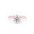 1.4mm Caraline Round High Polish Engagement Rings Princess Bride Diamonds 3 14K Rose Gold 