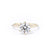 1.4mm Caraline Round High Polish Engagement Rings Princess Bride Diamonds 3 14K Yellow Gold 