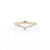 1.6mm Petite Constellation Ring Rings Princess Bride Diamonds 