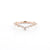 1.6mm Petite Constellation Ring Rings Princess Bride Diamonds 