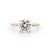 1.6mm Shelby Round Engagement Rings Princess Bride Diamonds 