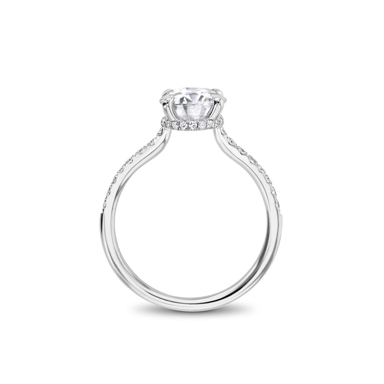 Nicole Round Engagement Rings Princess Bride Diamonds 