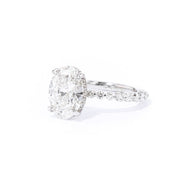 Sabrina Oval - PBD Engagement Rings