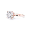 Stephanie Round High Polish Engagement Rings Princess Bride Diamonds 